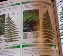 Livres Molenbeek-Saint-Jean - Photos Vivastreet La vie cachée des sous-bois